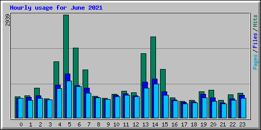 Hourly usage for June 2021