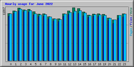 Hourly usage for June 2022